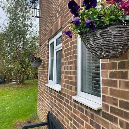 Cosy Studio Apartment Waterlooville Exterior photo