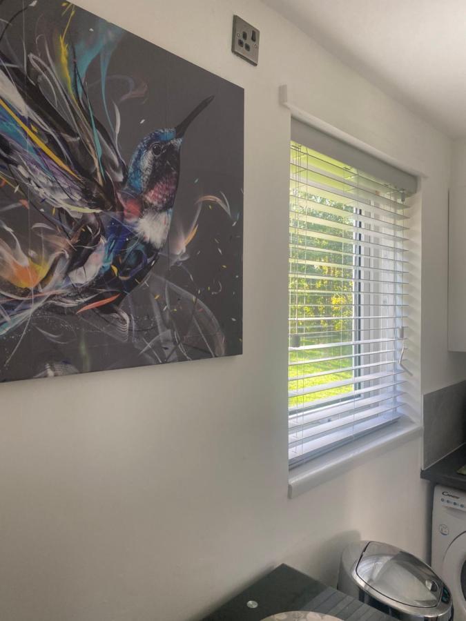Cosy Studio Apartment Waterlooville Exterior photo
